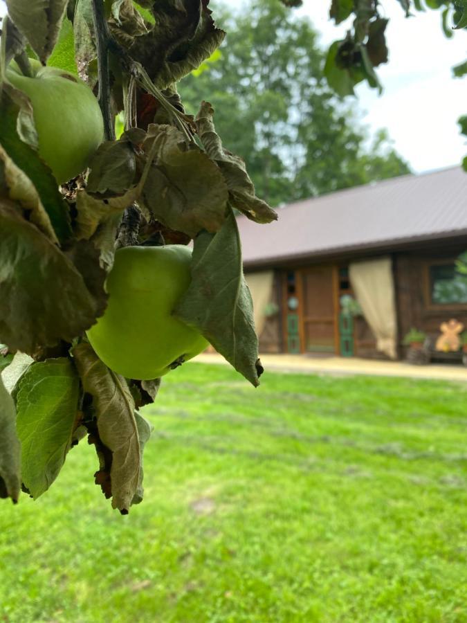 Siedlisko Odpoczynkowo Villa Nowosiolki  Eksteriør bilde